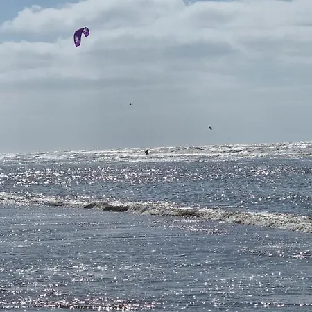 シャレー Surfin *